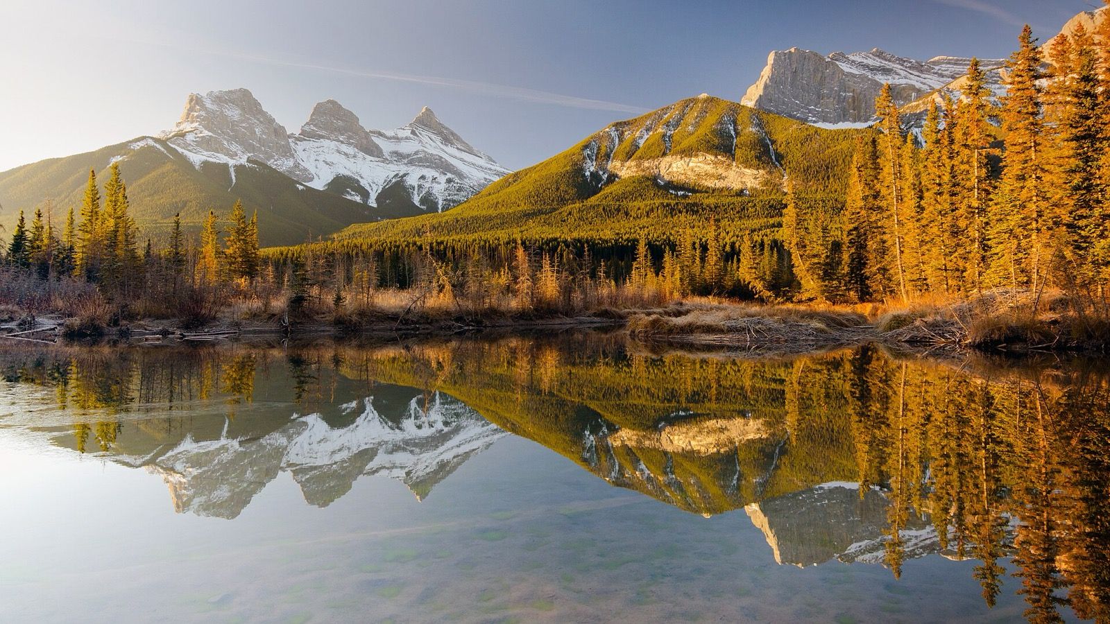 The snow capped Three Sisters peaks and golden autumn larches reflected in the still water of Police Creek near Canmore, Canada, in warm low sunlight