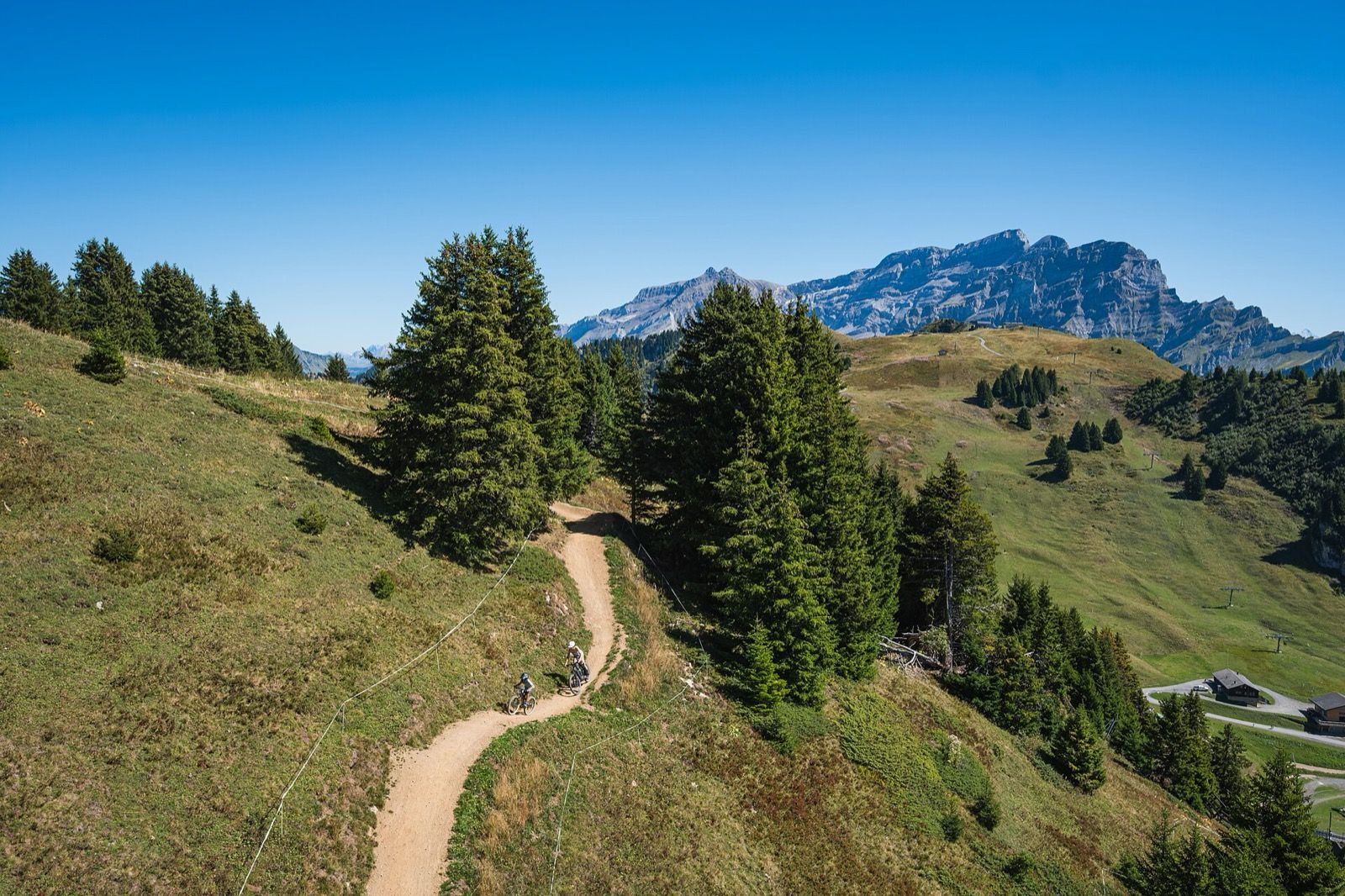 Two mountain bikers on a winding dirt trail through alpine meadows and spruce trees under a clear blue sky, with rocky peaks in the distance